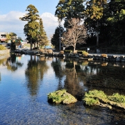 T8-0004-091222.jpg
