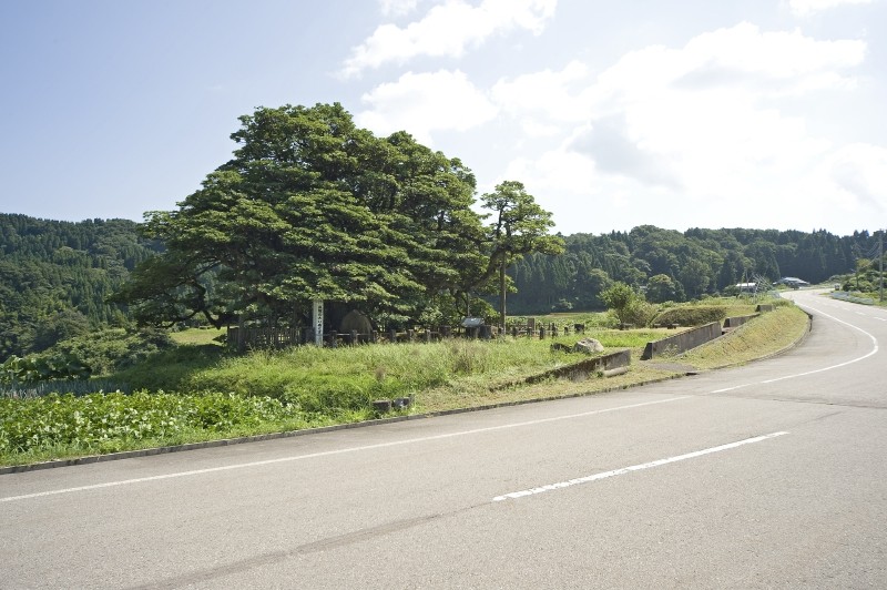 石川県境にちかい県道306号線沿いです。 宇波地区から約５Km。 細い区間もありますから慎重に運転して下さい。 写真右奥が宇波方面。 背景には棚田がたくさんあります。