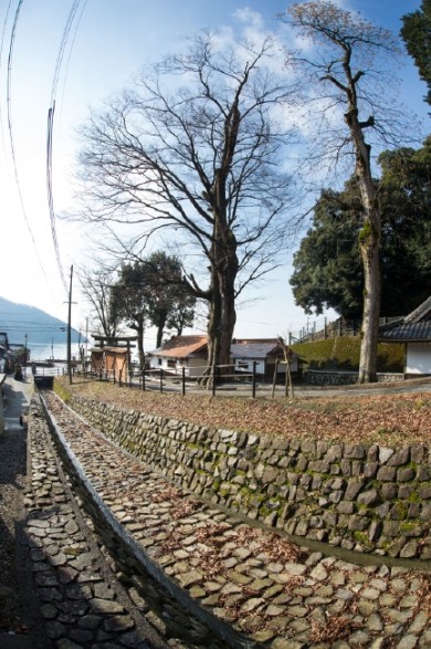 琵琶湖の北端に位置し、昔は船でしか行き来ができなかった「隠里」と伝わる菅浦の集落にあります。