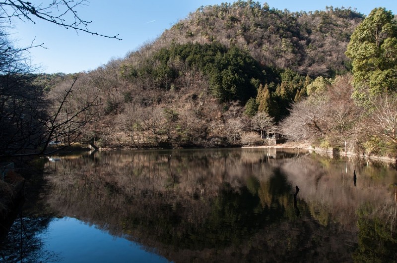 岐阜市内の長良川北にあります。 元は農業用のため池。 穏やかな日で水面は鏡のようでした。