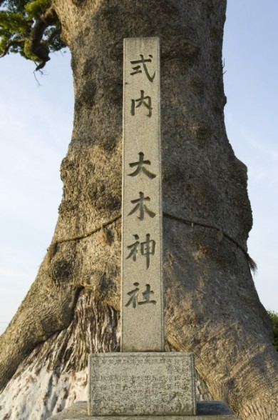 今は移転してしまった大木神社の石碑。 小さな祠には参拝者の姿があります。