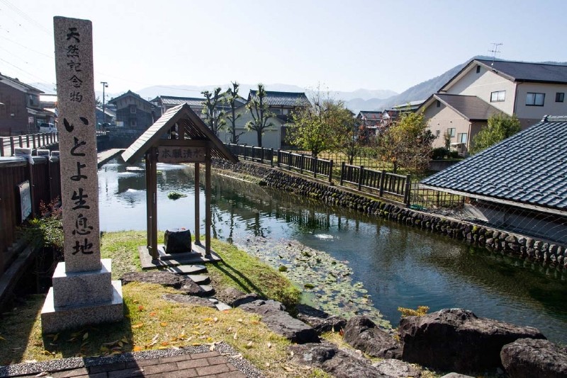 右側に見える屋根が「イトヨの里」 イトヨに関する資料やこの清水を泳ぐイトヨが観察できる窓もあります。 町名も糸魚町に改名されたそうです。
