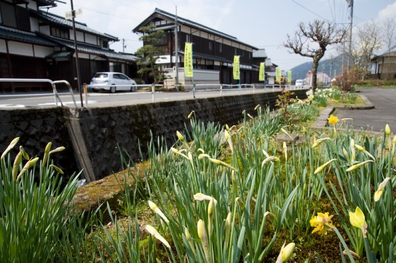 綺麗な水として紙漉を始める元になった岡本川。 このあたりは五箇地区と呼ばれ、古い街並や建物を見ながらの散策も楽しみの一つです。