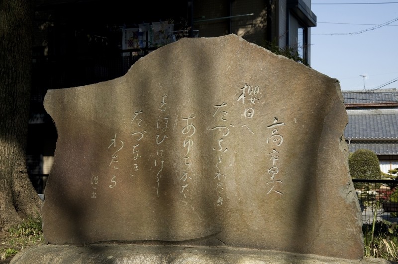 あゆちがた、を詠んだ句碑。 愛知県の語源と云われているそうな。 樹の右側に設置されています。