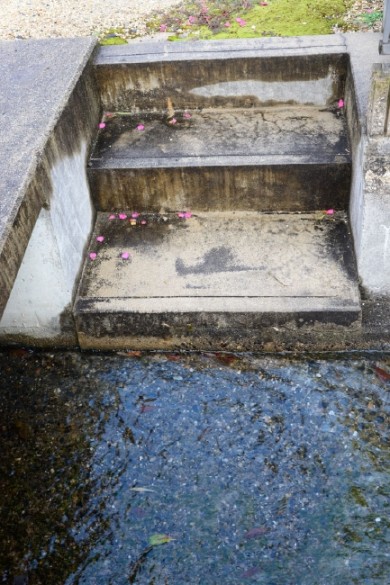 家の前にある用水。 小階段があり、野菜などを洗った過去の話をうかがいました。