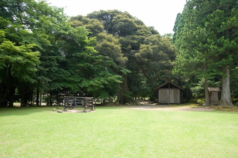 左から、護摩壇・スダジイ・閼加井戸が並ぶ境内。 緑が美しい。 巨木がそこかしこに在り、時を忘れて散策してしまう。