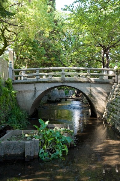 この橋は市内の中心部。 八幡神社のそばにあります。 まるで高原のような景色。